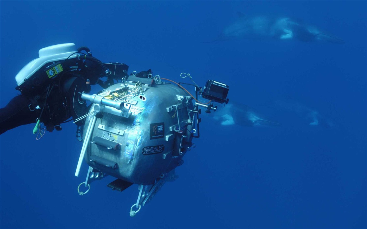 Under the Sea 3D 海底世界3D 高清壁紙 #42 - 1280x800
