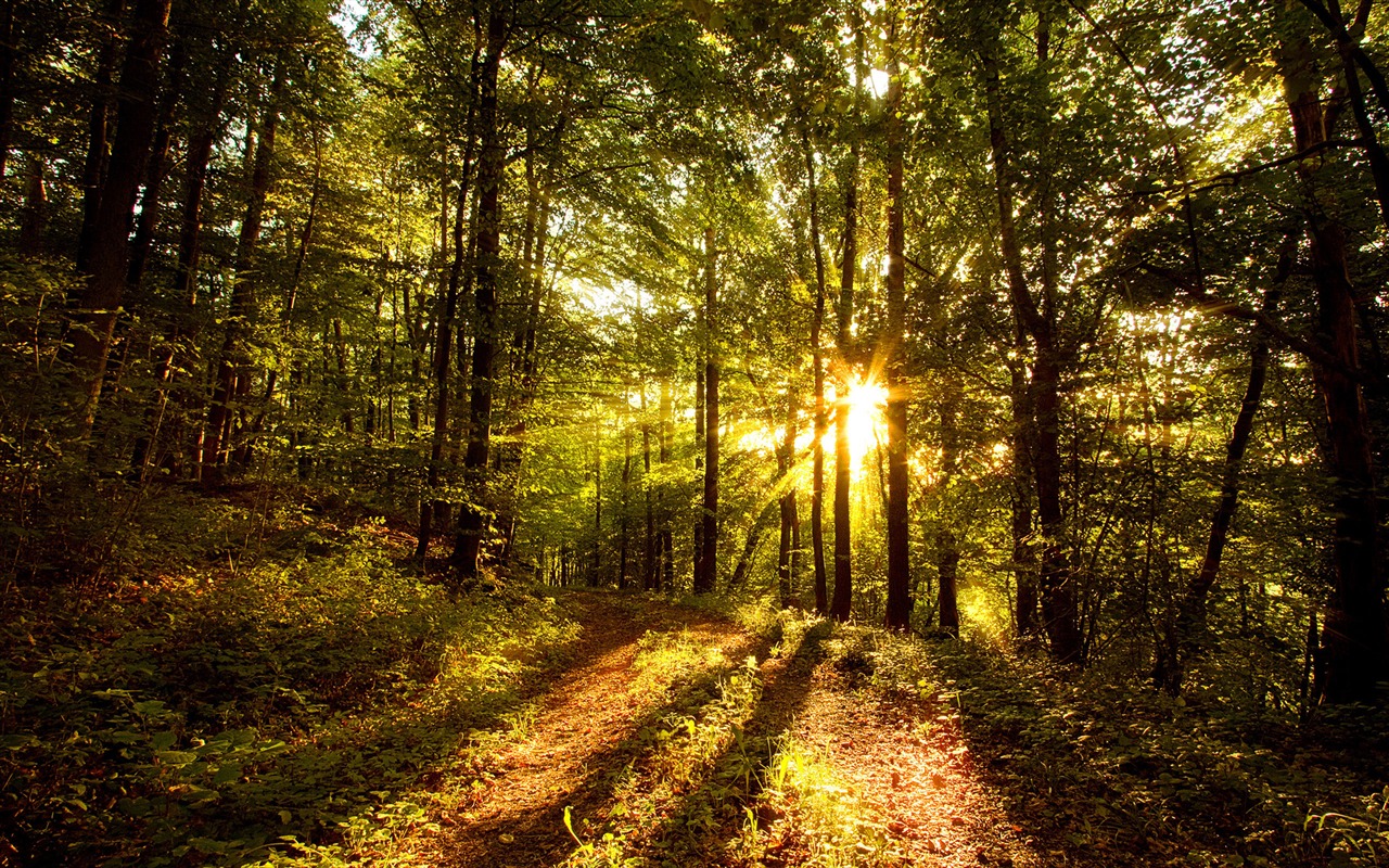 Scenery Collection Wallpapers (33) #2 - 1280x800