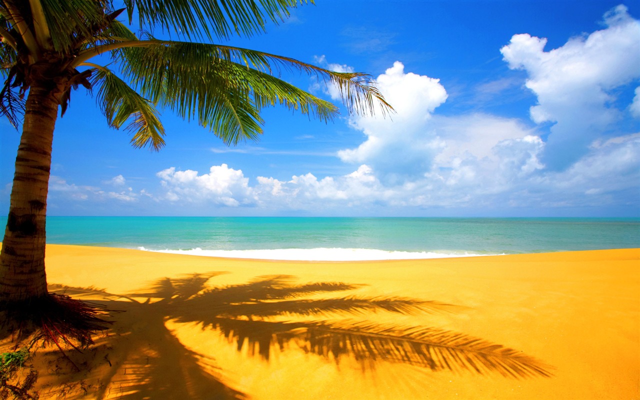Scenery Collection Wallpapers (33) #5 - 1280x800