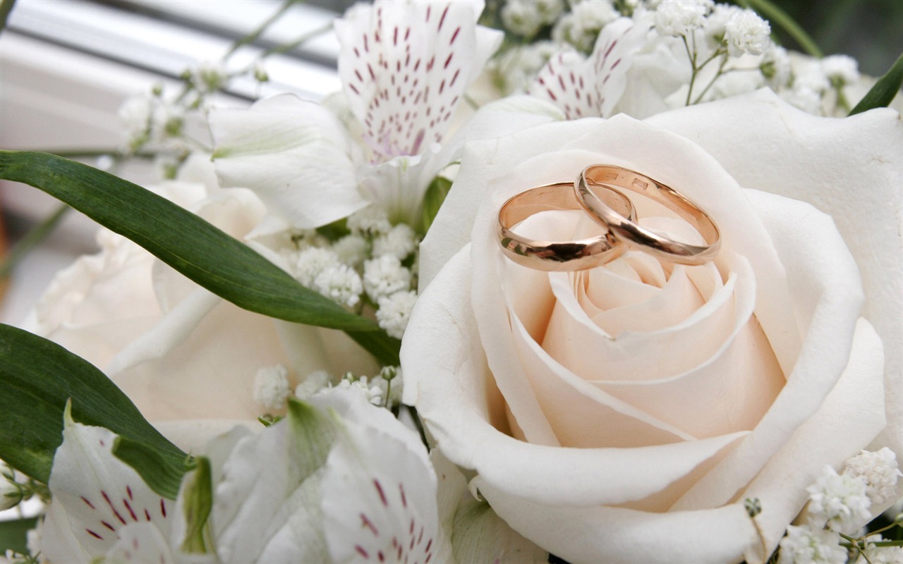 Svatby a svatební prsten tapety (1) #2 - 1280x800