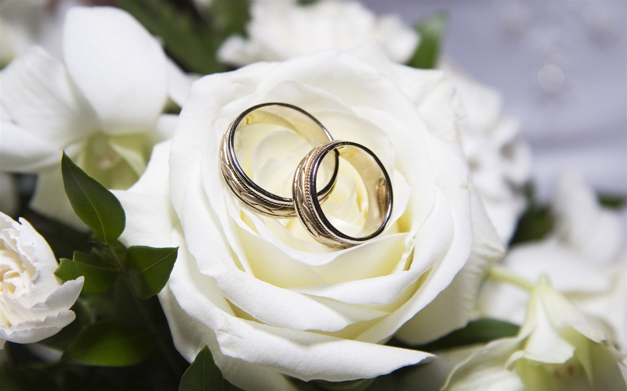 Svatby a svatební prsten tapety (1) #3 - 1280x800