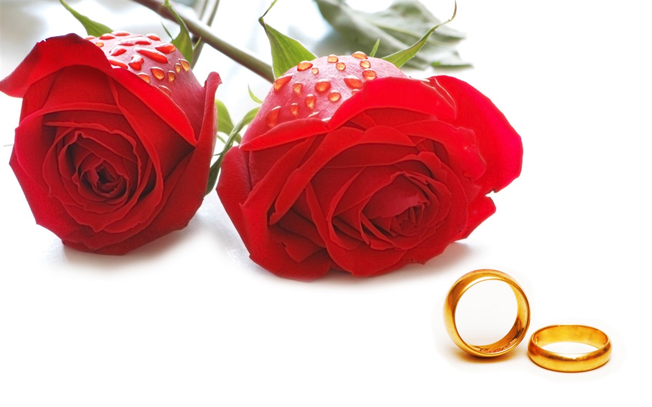 Weddings and wedding ring wallpaper (1) #12 - 1280x800