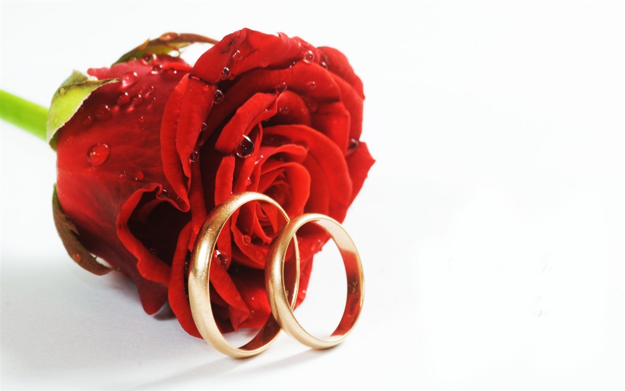 Свадьбы и свадебные кольца обои (2) #11 - 1280x800