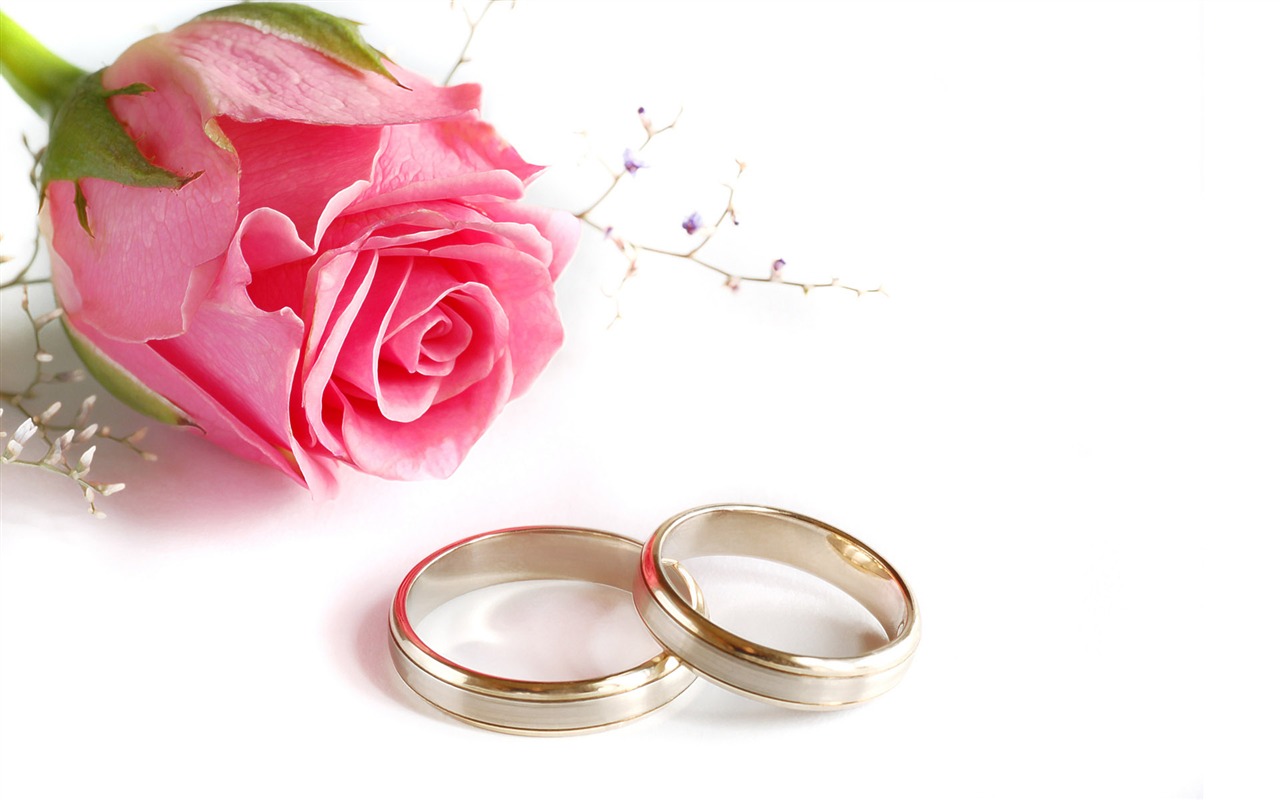 Weddings and wedding ring wallpaper (2) #12 - 1280x800