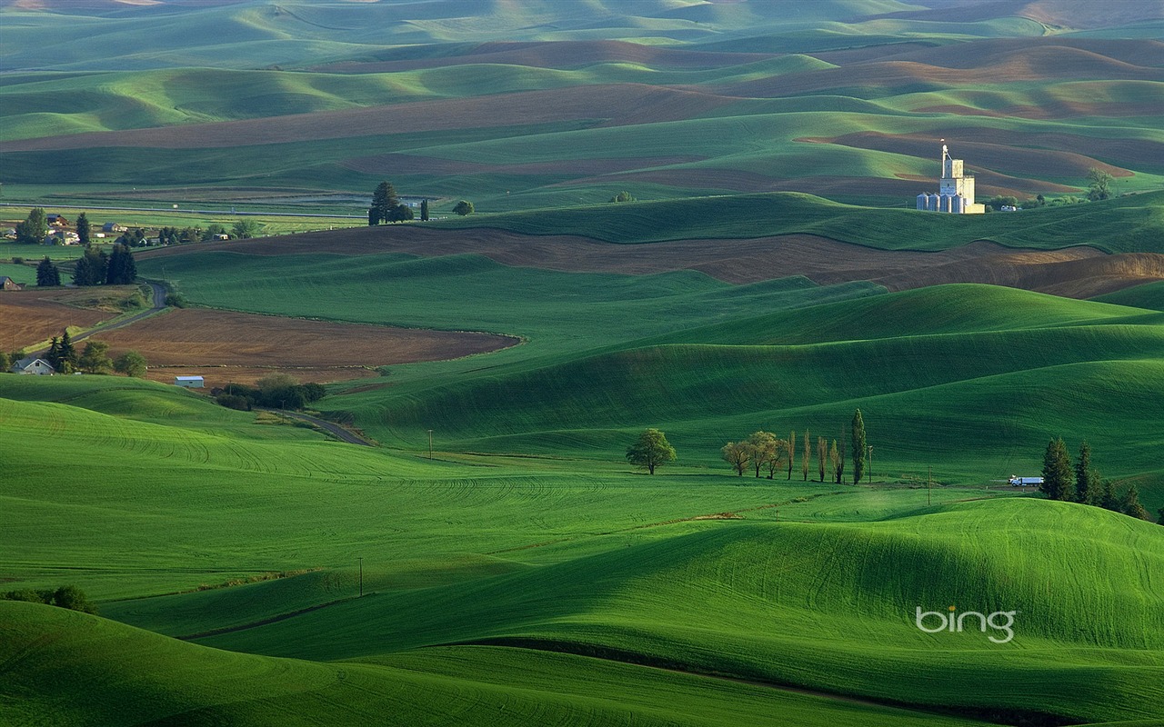 bing theme wallpaper (2) #3 - 1280x800