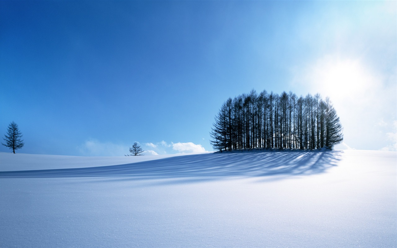 Tapety Krajina Kolekce (41) #12 - 1280x800