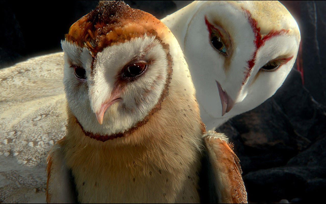 Legend of the Guardians: The Owls of Ga'Hoole 守卫者传奇(二)1 - 1280x800