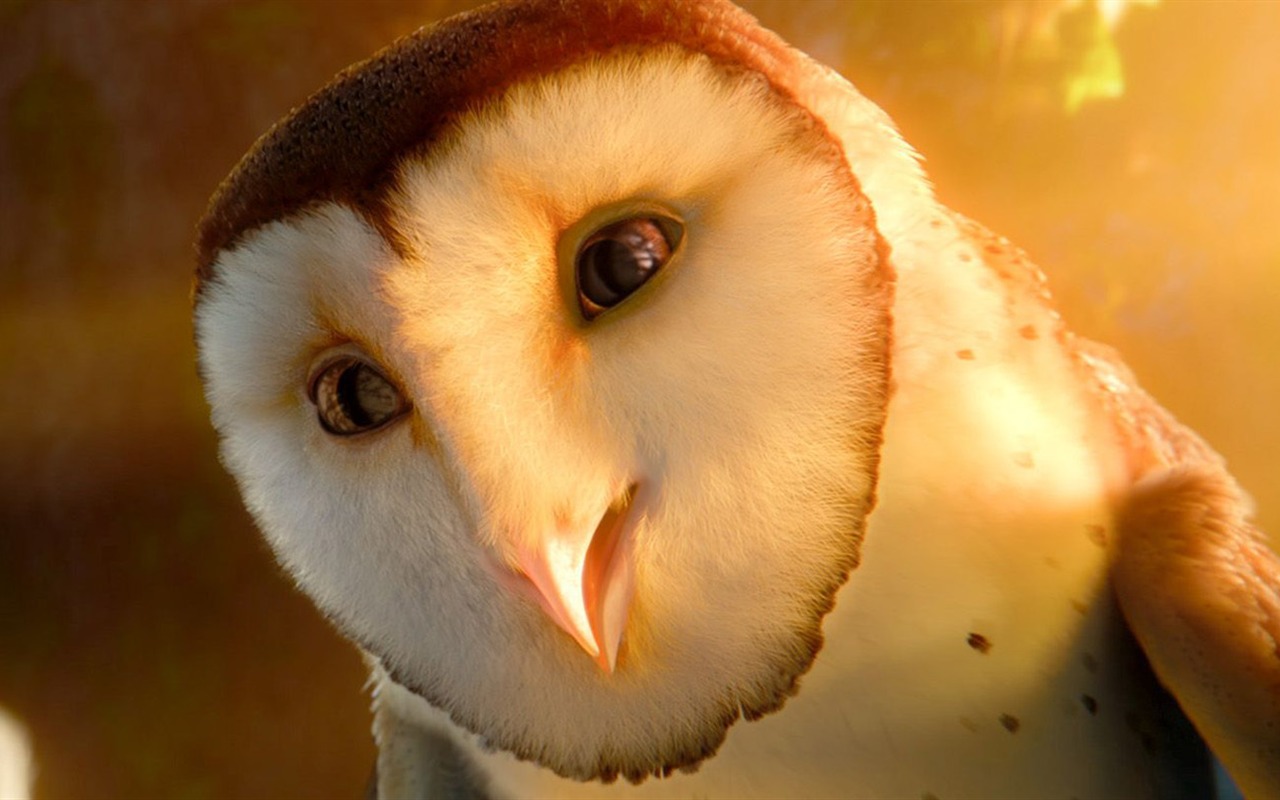 Legend of the Guardians: The Owls of Ga'Hoole (2) #3 - 1280x800