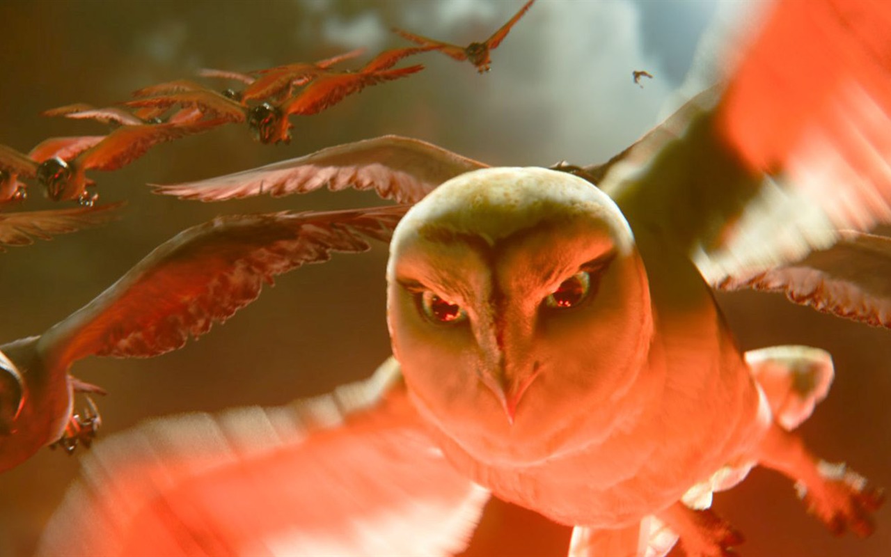 Legend of the Guardians: The Owls of Ga'Hoole 守衛者傳奇(二) #4 - 1280x800