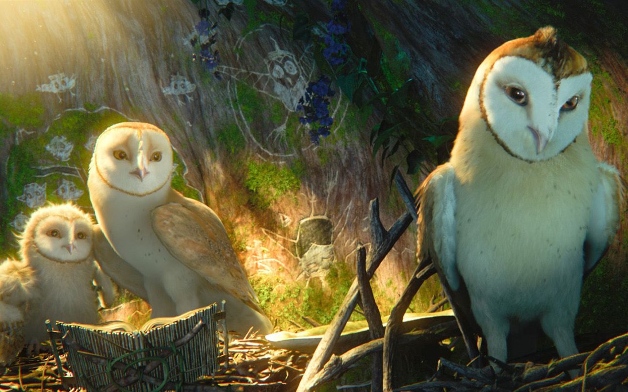 Legend of the Guardians: The Owls of Ga'Hoole 守卫者传奇(二)5 - 1280x800