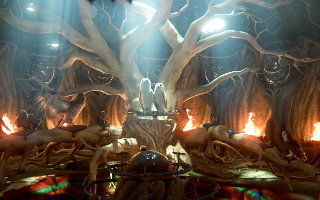 Legend of the Guardians: The Owls of Ga'Hoole (2) #6 - 1280x800