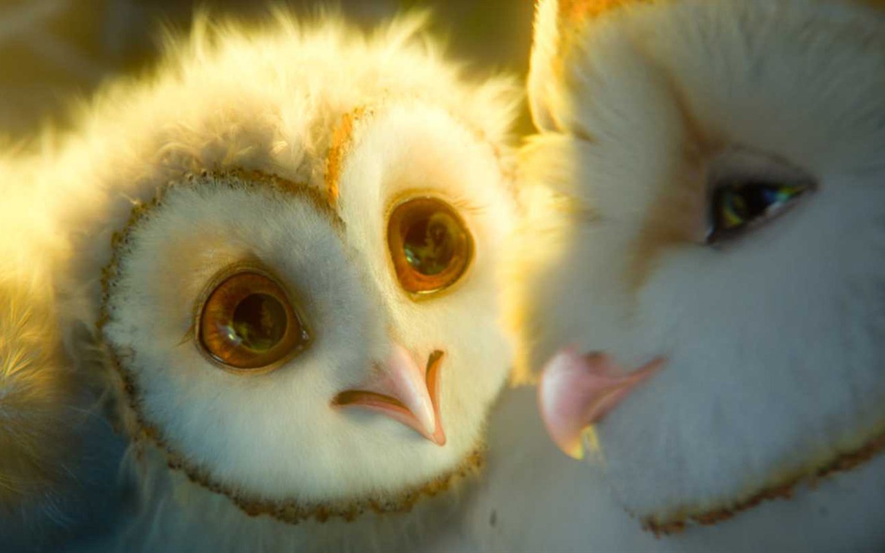 Legend of the Guardians: The Owls of Ga'Hoole (2) #7 - 1280x800