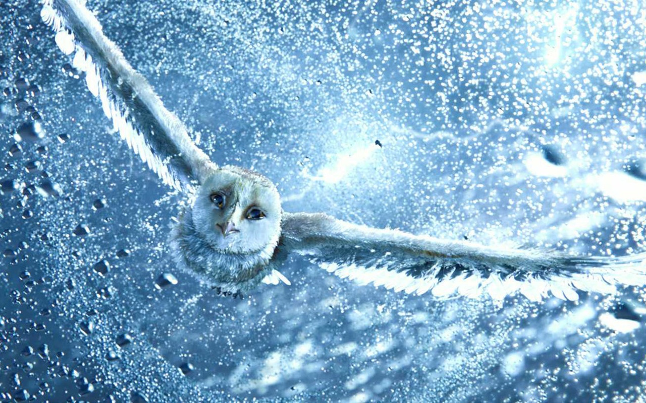 Legend of the Guardians: The Owls of Ga'Hoole (2) #8 - 1280x800