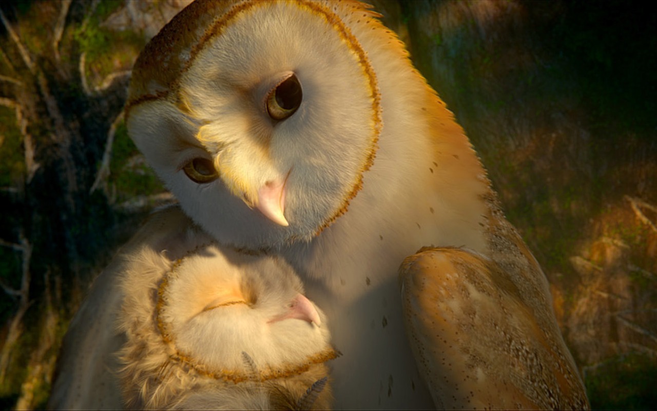 Legend of the Guardians: The Owls of Ga'Hoole 守卫者传奇(二)10 - 1280x800