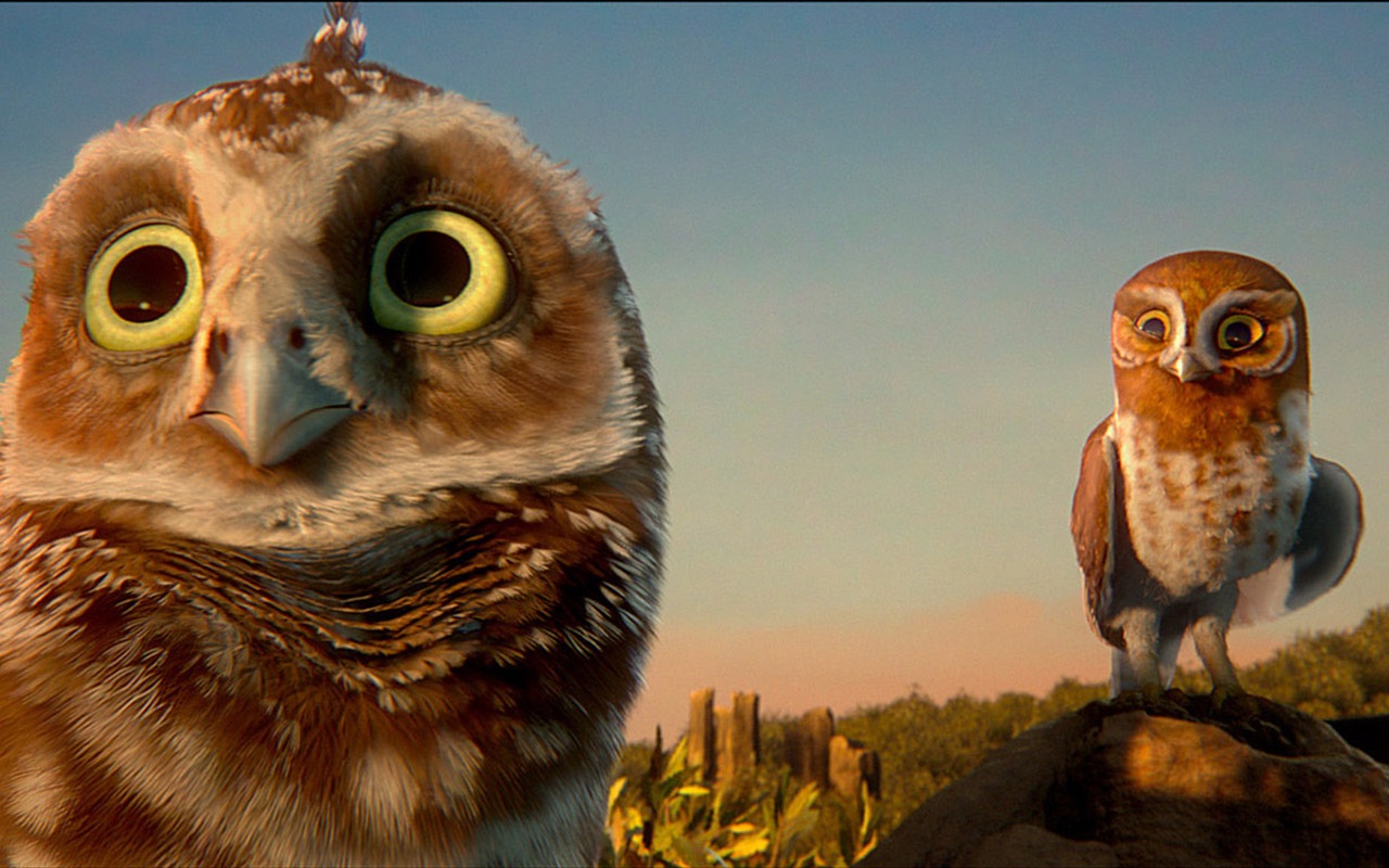 Legend of the Guardians: The Owls of Ga'Hoole (2) #14 - 1280x800
