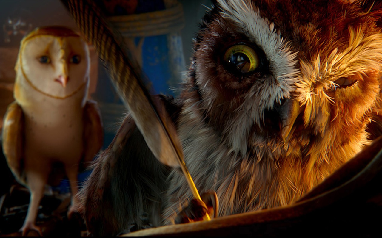 Legend of the Guardians: The Owls of Ga'Hoole 守卫者传奇(二)19 - 1280x800