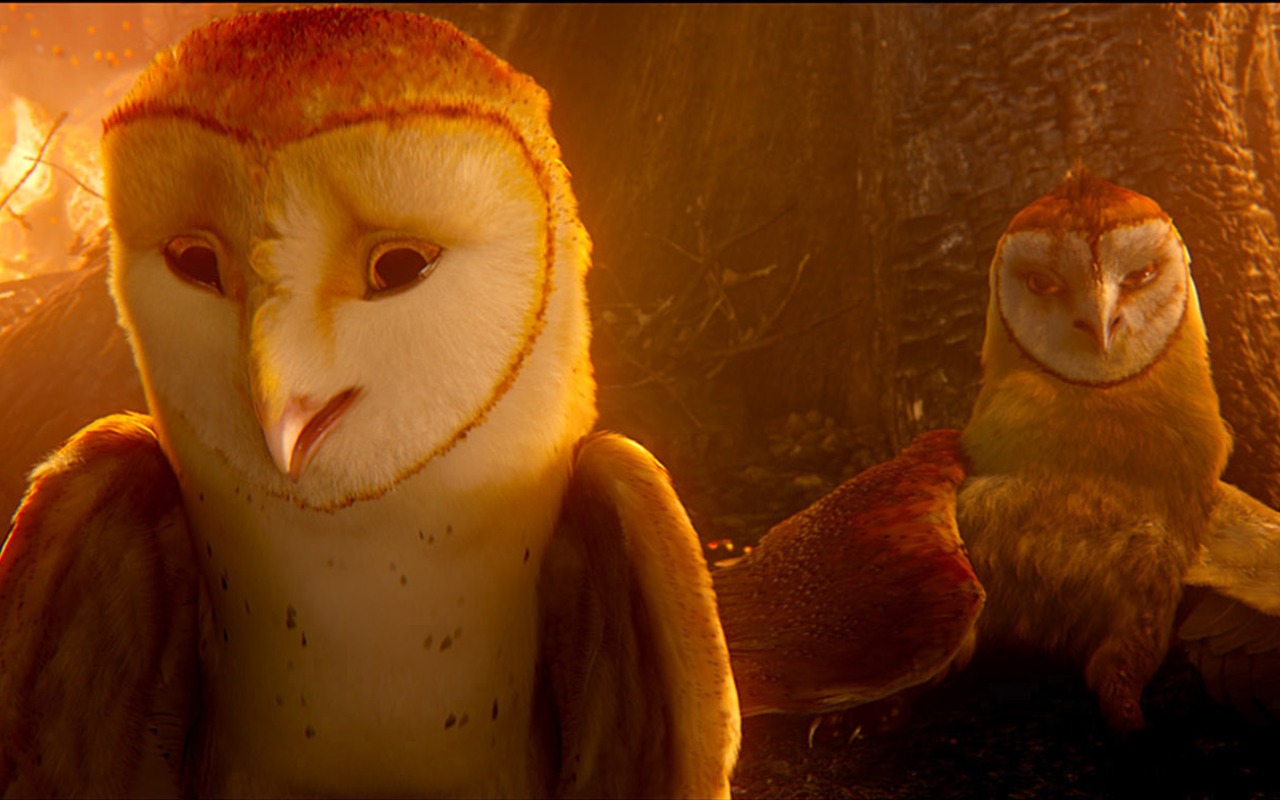 Legend of the Guardians: The Owls of Ga'Hoole 守衛者傳奇(二) #23 - 1280x800