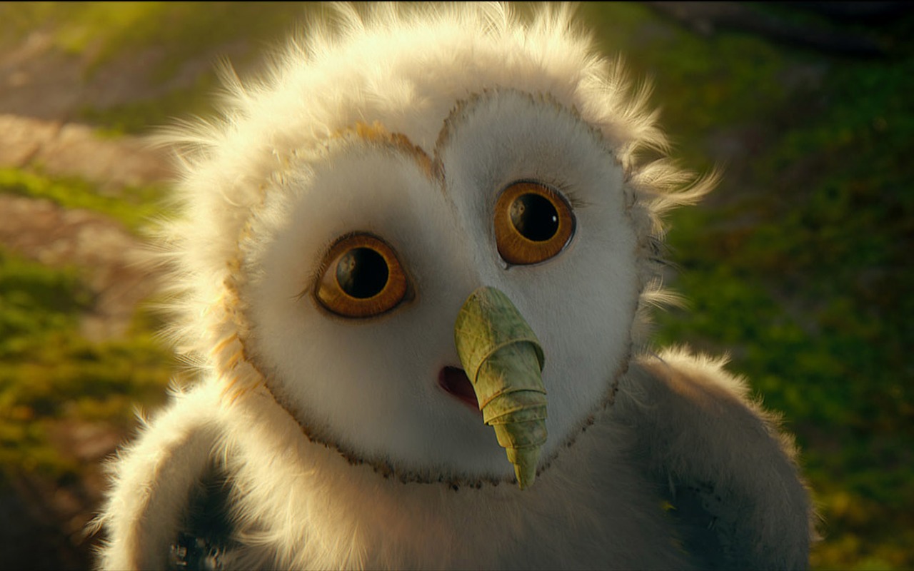 Legend of the Guardians: The Owls of Ga'Hoole 守卫者传奇(二)25 - 1280x800