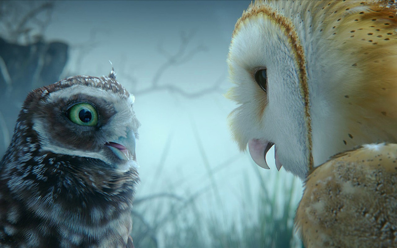 Legend of the Guardians: The Owls of Ga'Hoole 守卫者传奇(二)28 - 1280x800