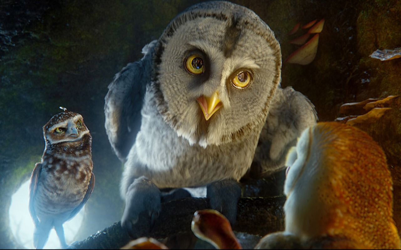 Legend of the Guardians: The Owls of Ga'Hoole 守衛者傳奇(二) #29 - 1280x800