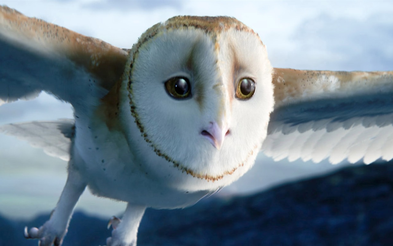 Legend of the Guardians: The Owls of Ga'Hoole 守衛者傳奇(二) #31 - 1280x800