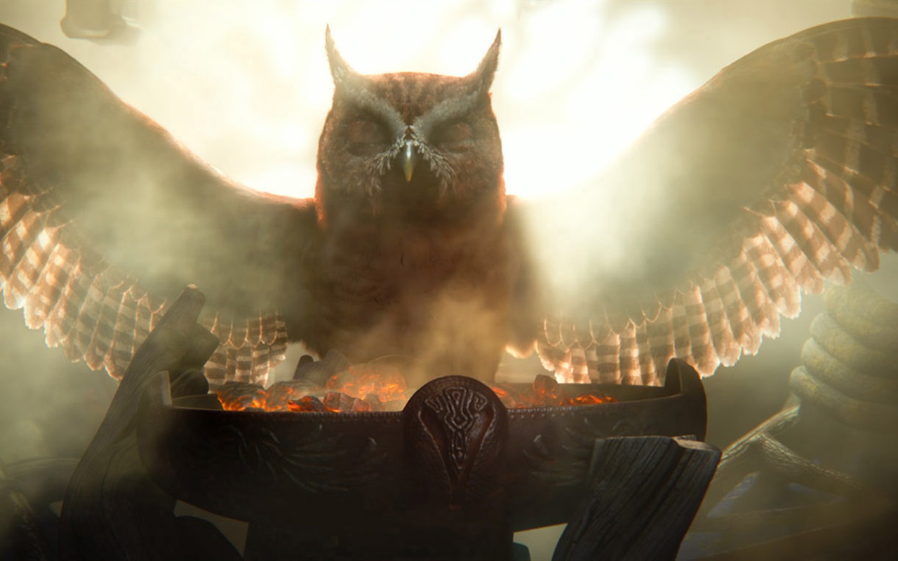 Legend of the Guardians: The Owls of Ga'Hoole 守卫者传奇(二)34 - 1280x800