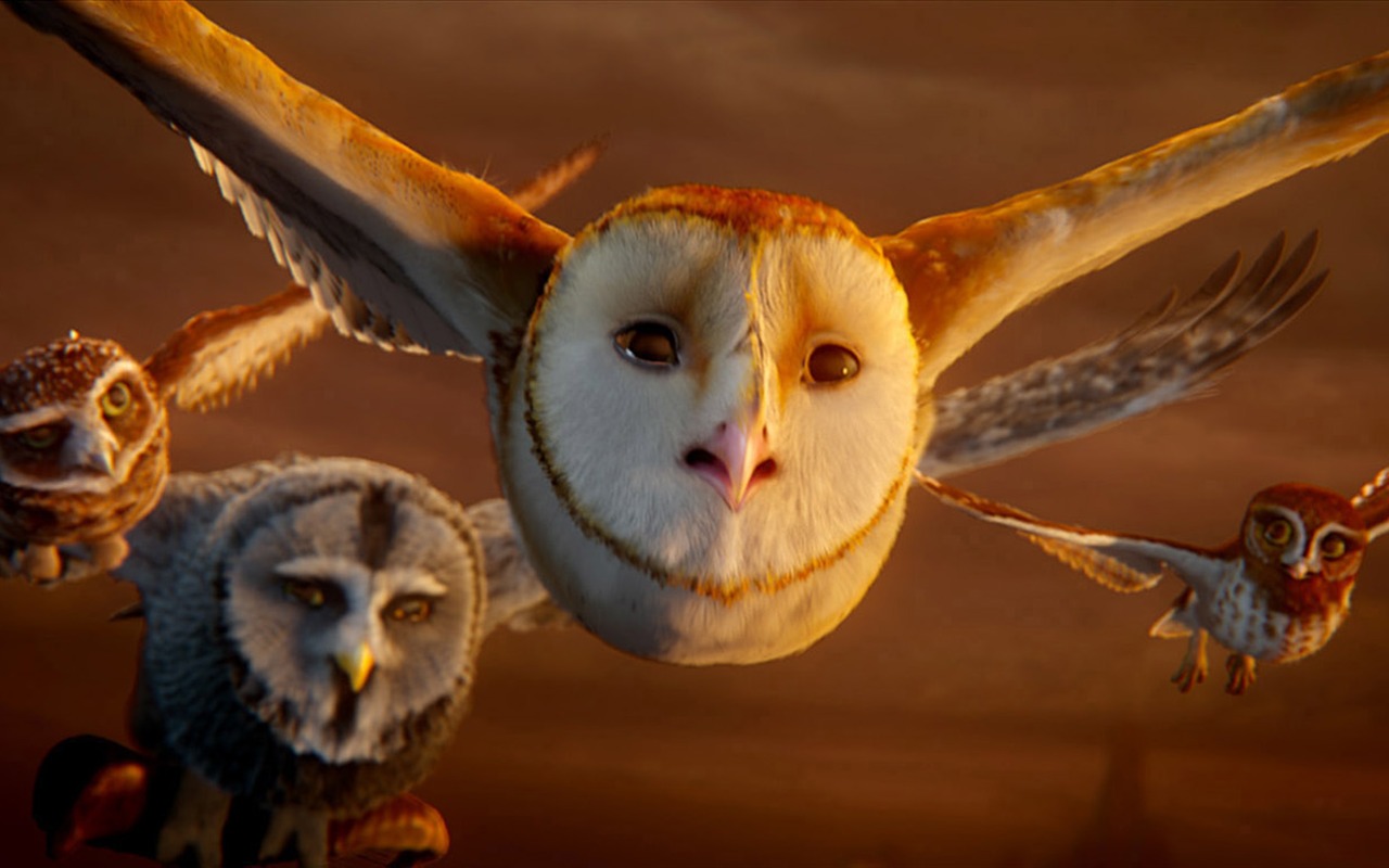 Legend of the Guardians: The Owls of Ga'Hoole 守衛者傳奇(二) #37 - 1280x800