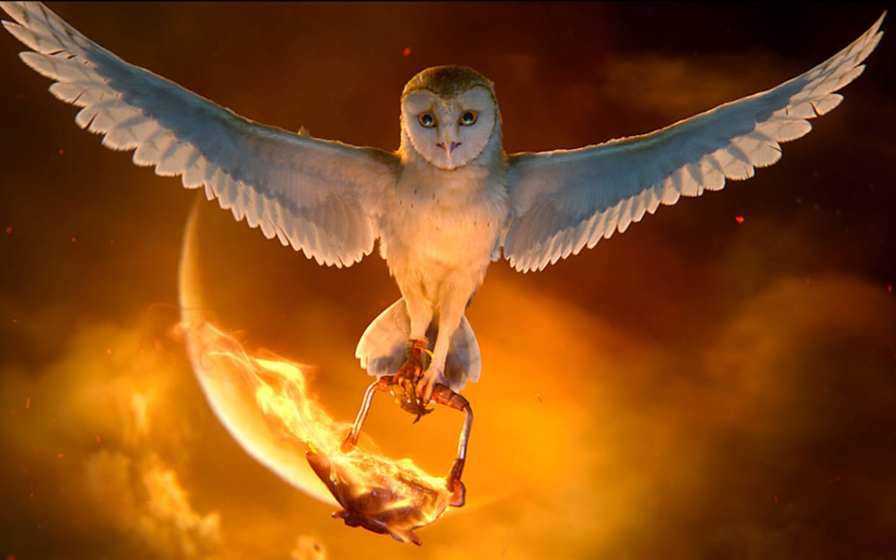 Legend of the Guardians: The Owls of Ga'Hoole 守卫者传奇(二)38 - 1280x800