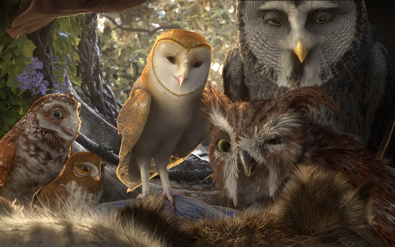 Legend of the Guardians: The Owls of Ga'Hoole 守卫者传奇(二)39 - 1280x800