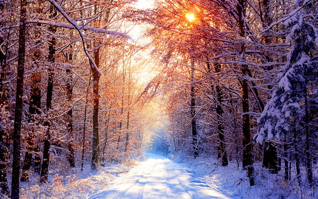 Scenery Collection Wallpapers (45) #8 - 1280x800