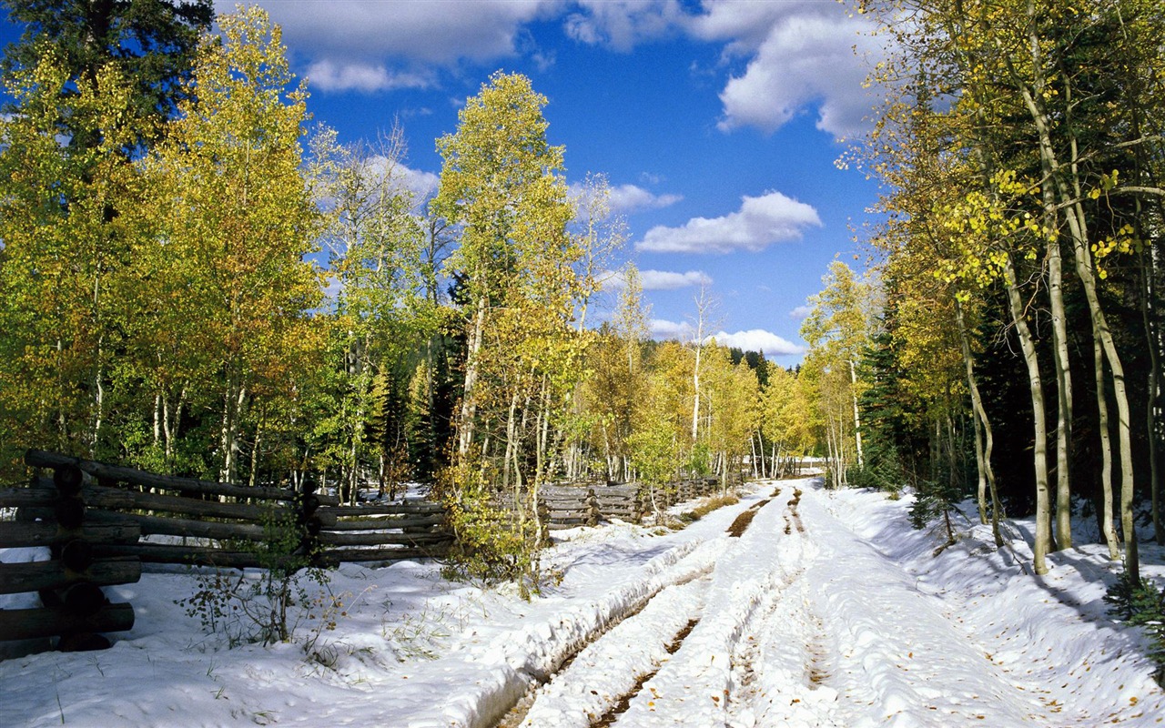 Scenery Collection Wallpapers (47) #1 - 1280x800