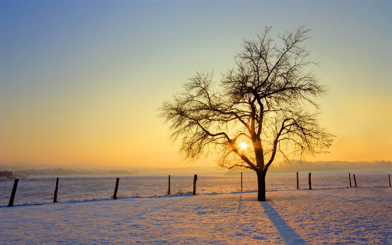 Scenery Collection Wallpapers (47) #8 - 1280x800