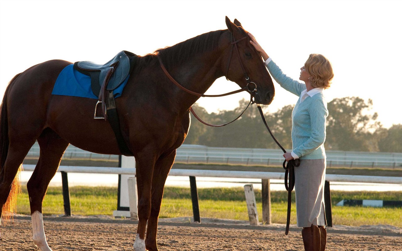 Secretariat 一代驕馬 高清壁紙(一) #4 - 1280x800