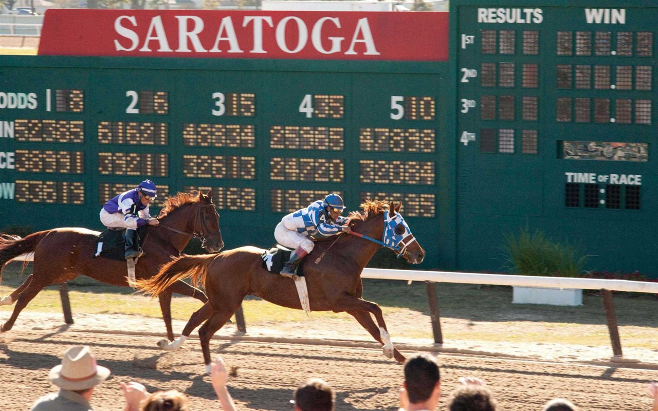 Secretariat HD wallpaper (1) #9 - 1280x800
