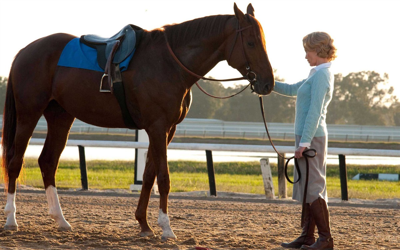 Secretariat 一代驕馬 高清壁紙(一) #14 - 1280x800