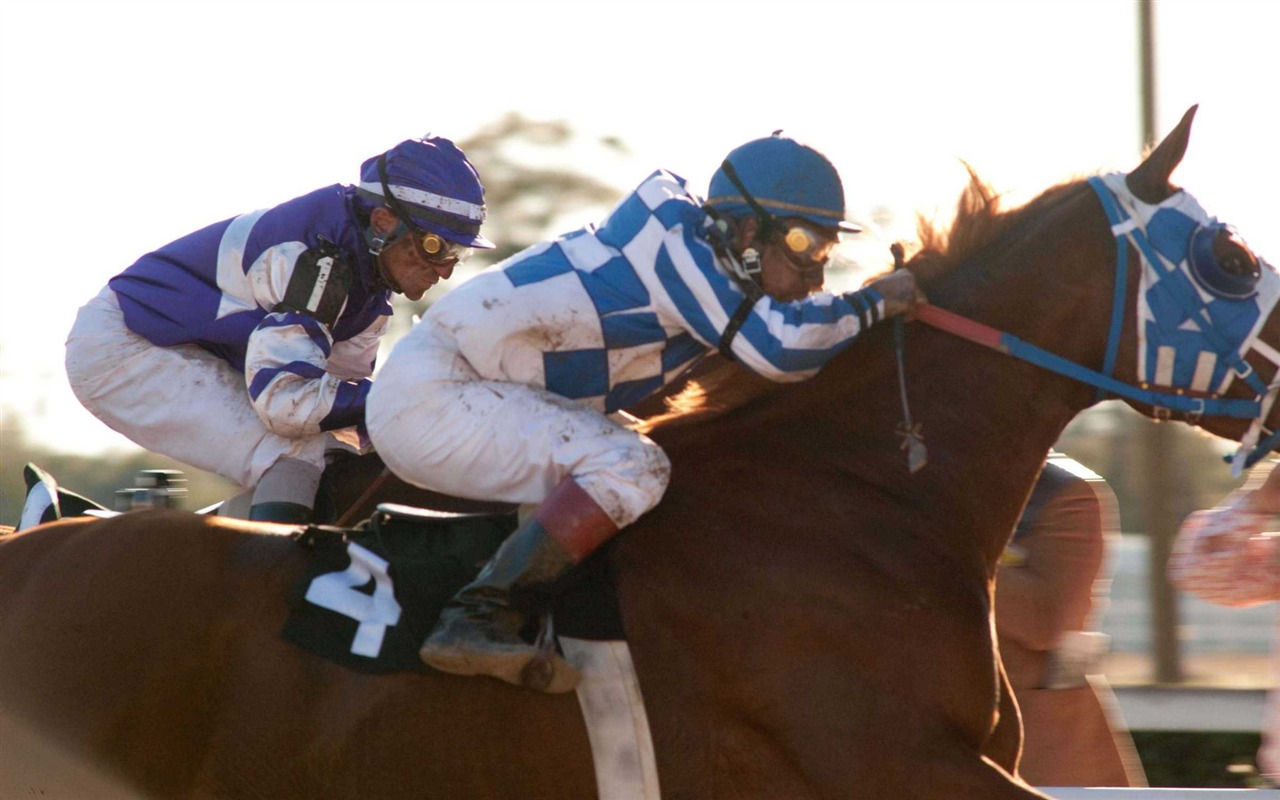 Secretariat HD wallpaper (1) #26 - 1280x800