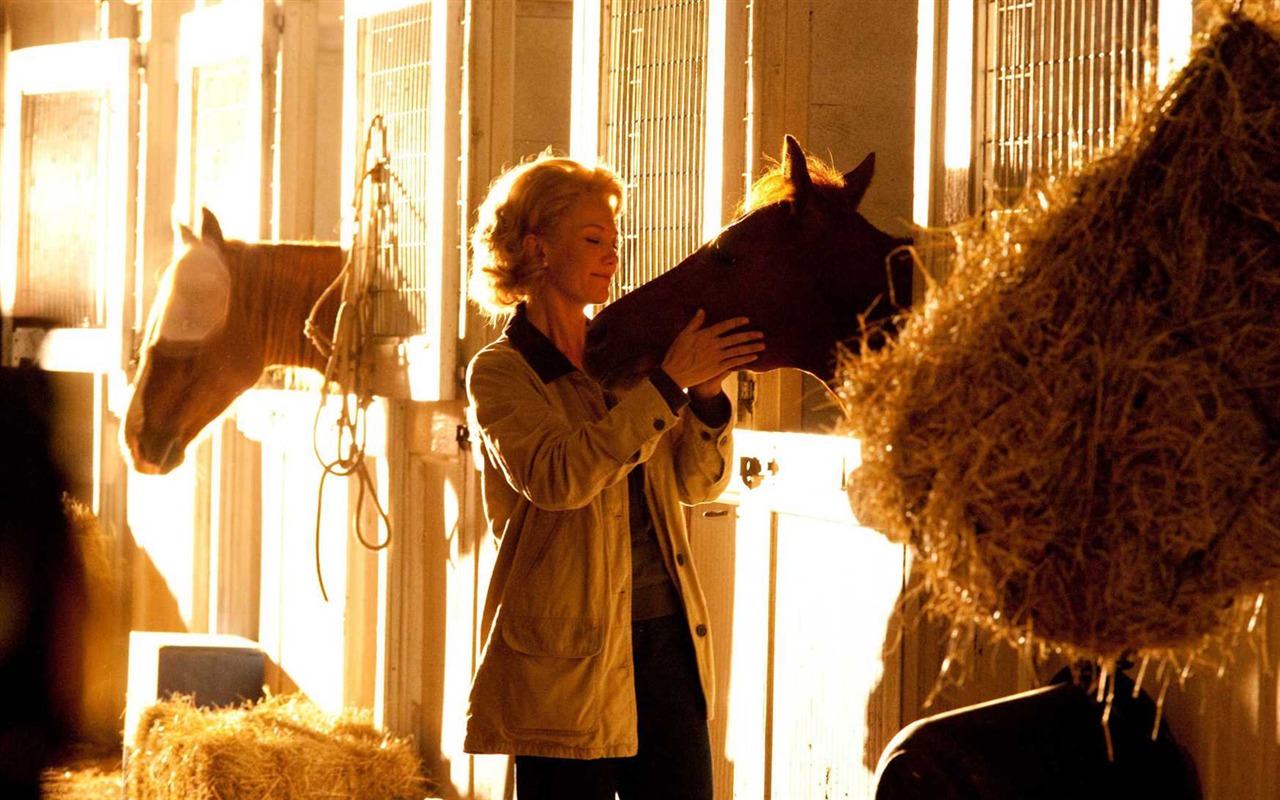 Secretariat 一代驕馬 高清壁紙(二) #23 - 1280x800