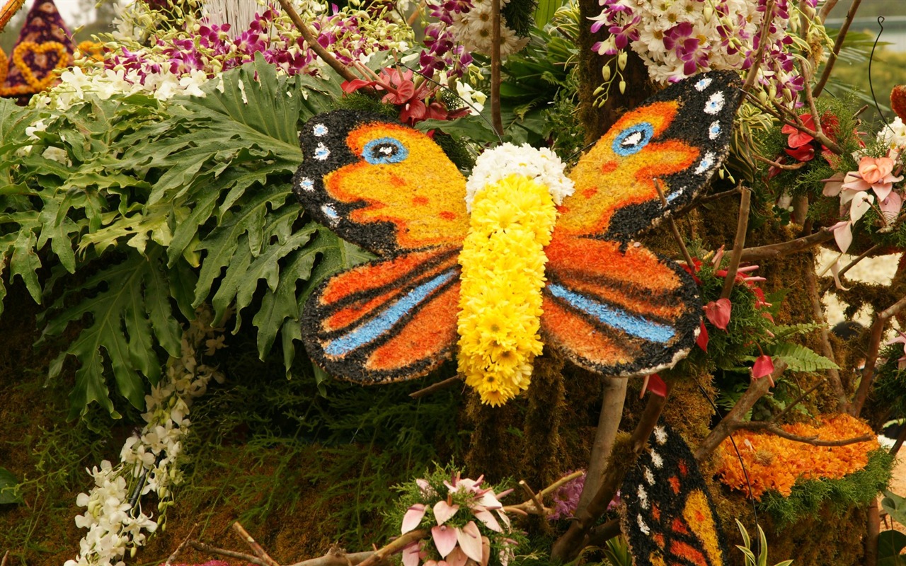 七彩花朵装饰 壁纸(一)2 - 1280x800