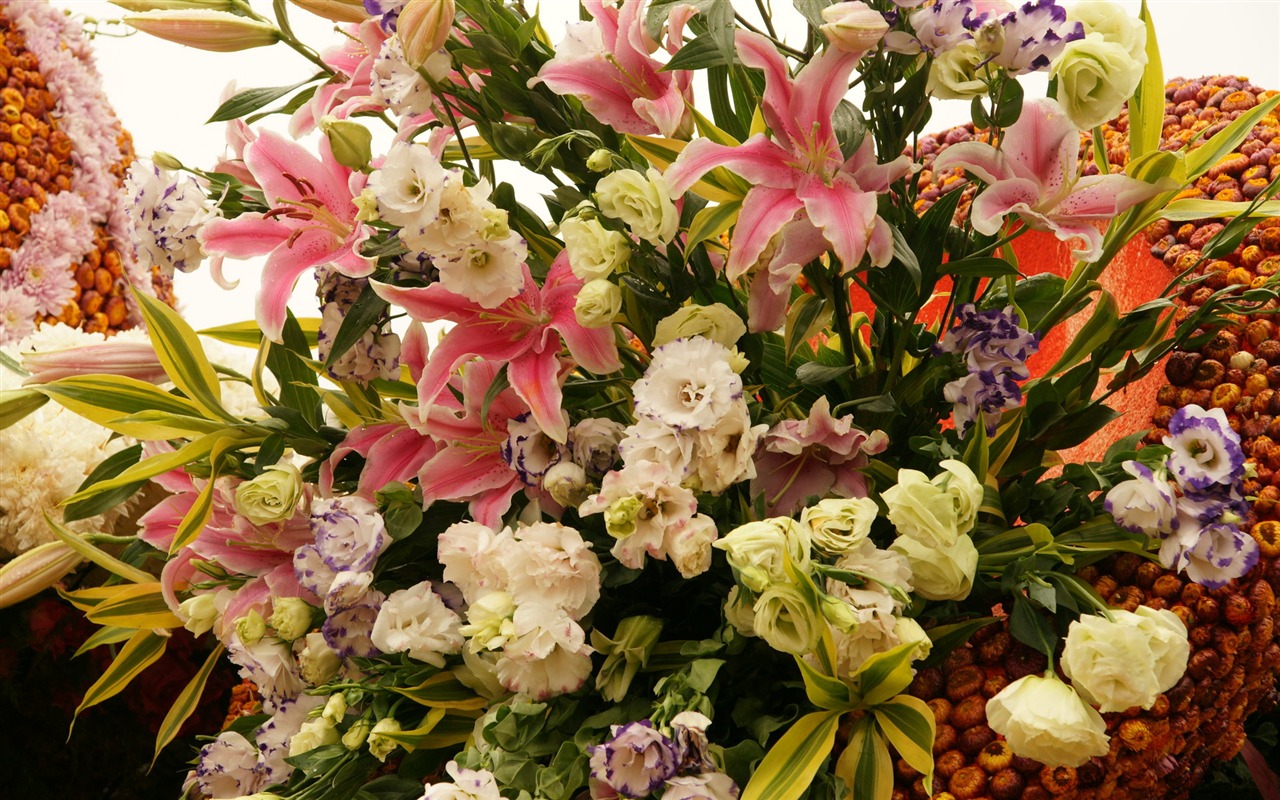 七彩花朵裝飾 壁紙(一) #19 - 1280x800