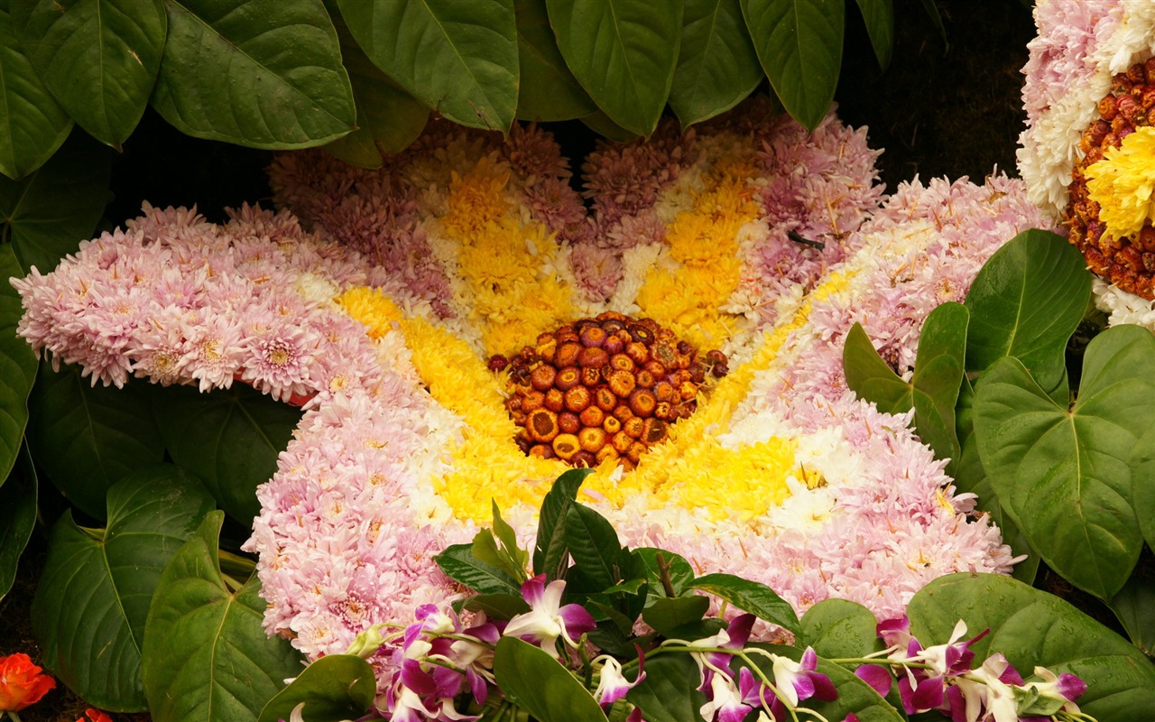 Colorful flowers decorate wallpaper (2) #3 - 1280x800