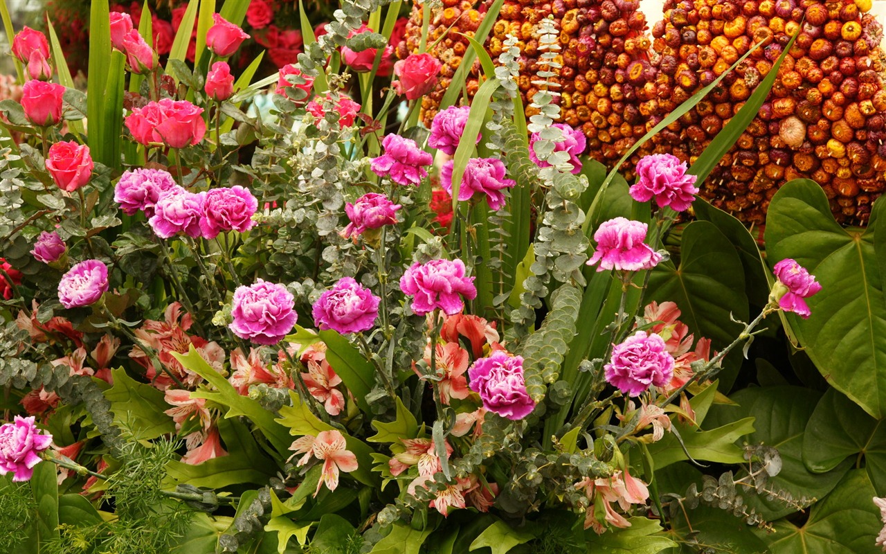 화려한 꽃 (2) 배경 화면을 장식 #4 - 1280x800