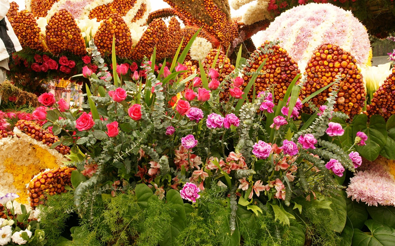 fleurs colorées décorent fond d'écran (2) #7 - 1280x800
