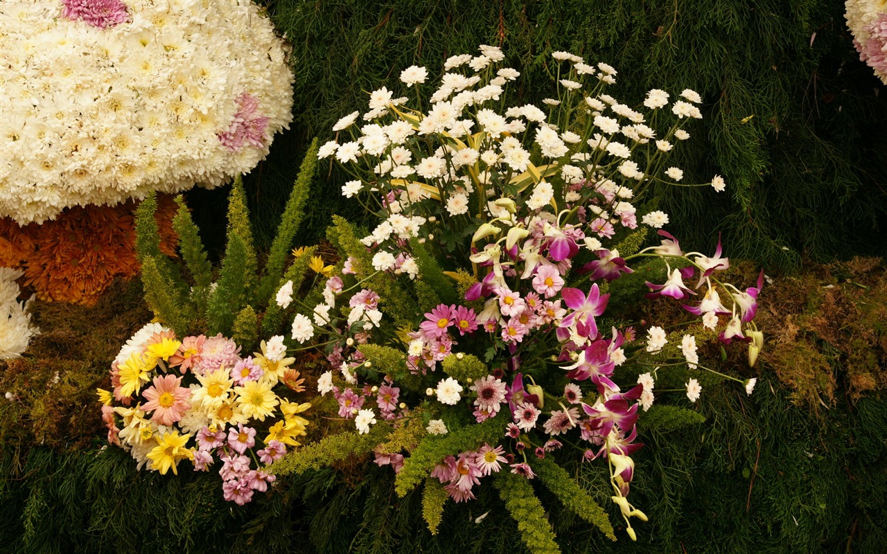 七彩花朵裝飾 壁紙(三) #4 - 1280x800