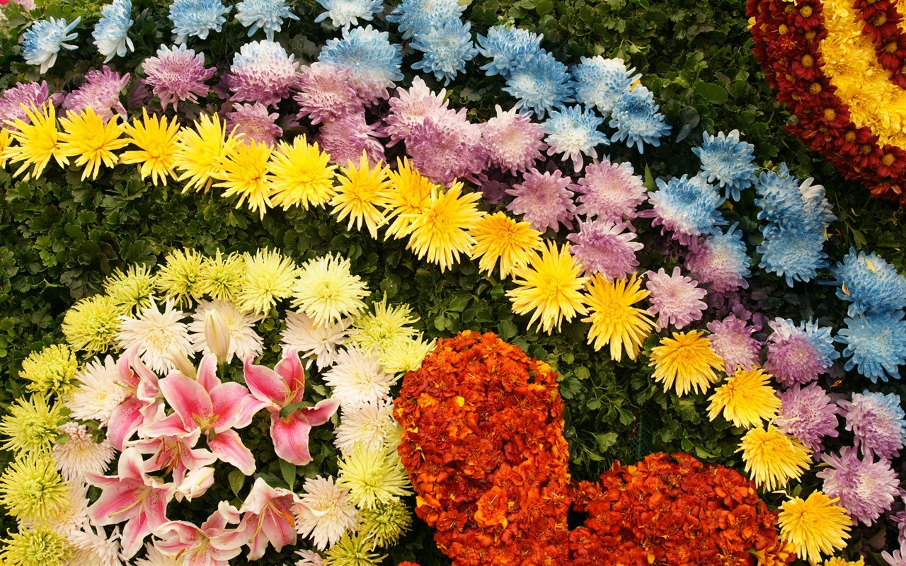 fleurs colorées décorent fond d'écran (4) #1 - 1280x800