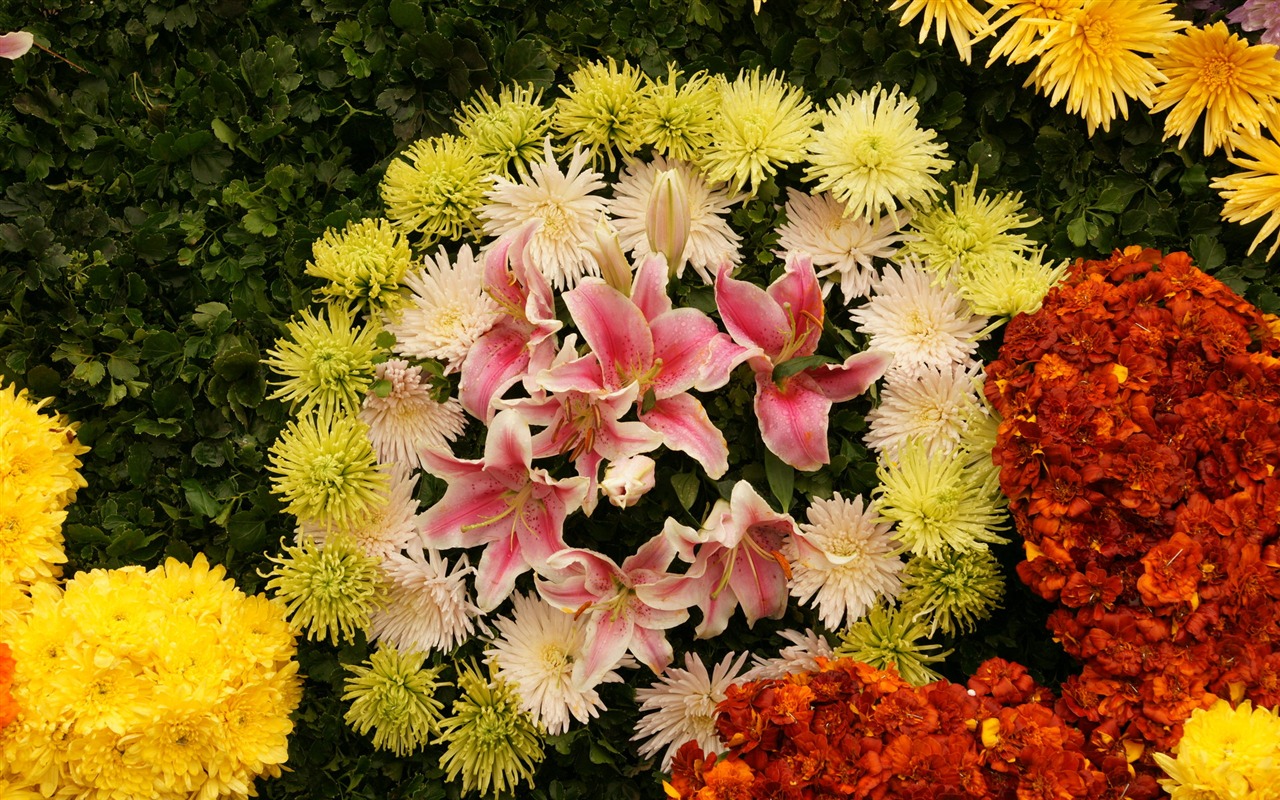 fleurs colorées décorent fond d'écran (4) #3 - 1280x800
