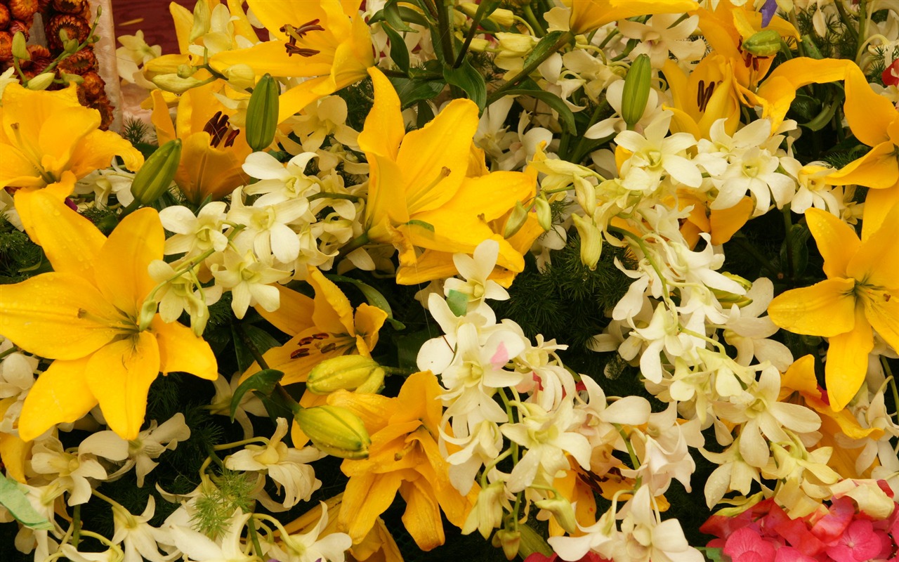 fleurs colorées décorent fond d'écran (4) #15 - 1280x800