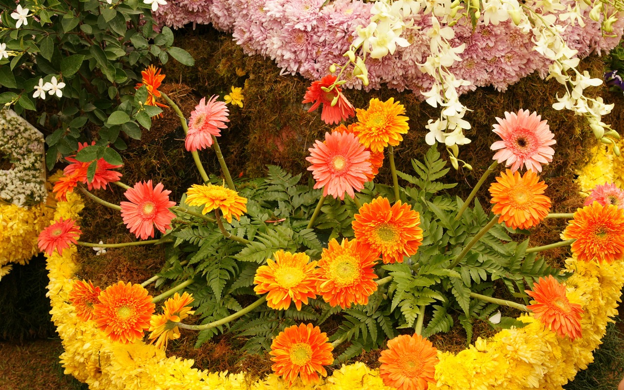fleurs colorées décorent fond d'écran (4) #19 - 1280x800
