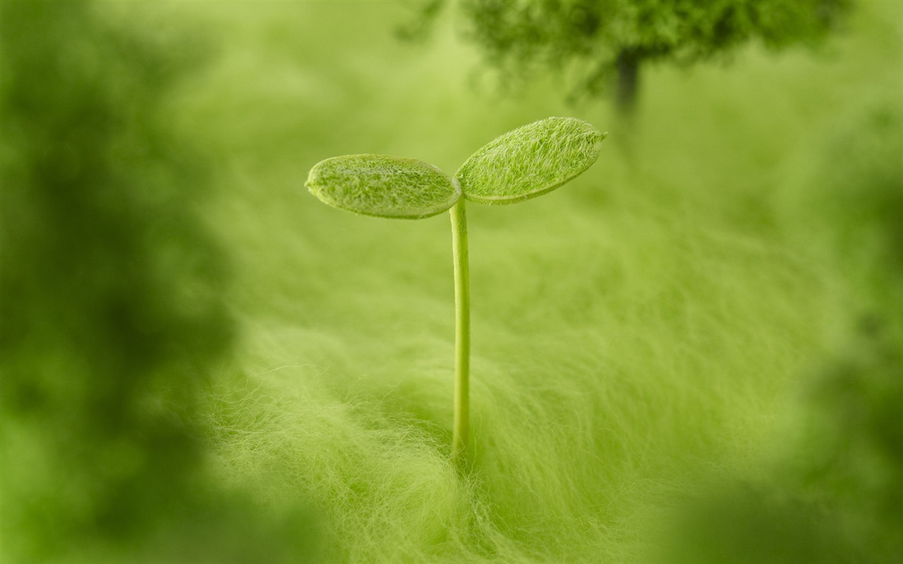 Green and Natural Wallpaper (1) #13 - 1280x800