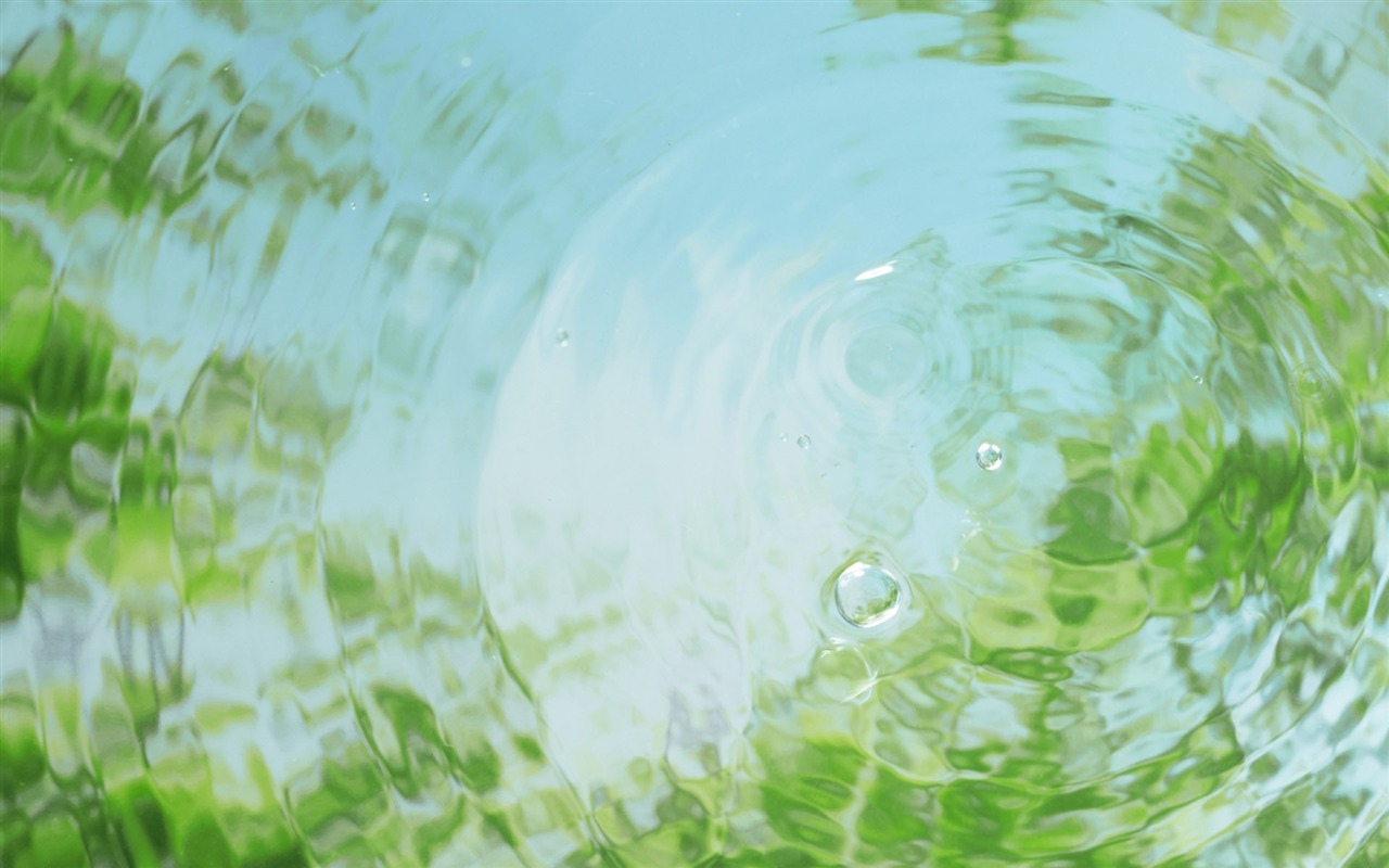 綠色與自然 壁紙(二) #5 - 1280x800