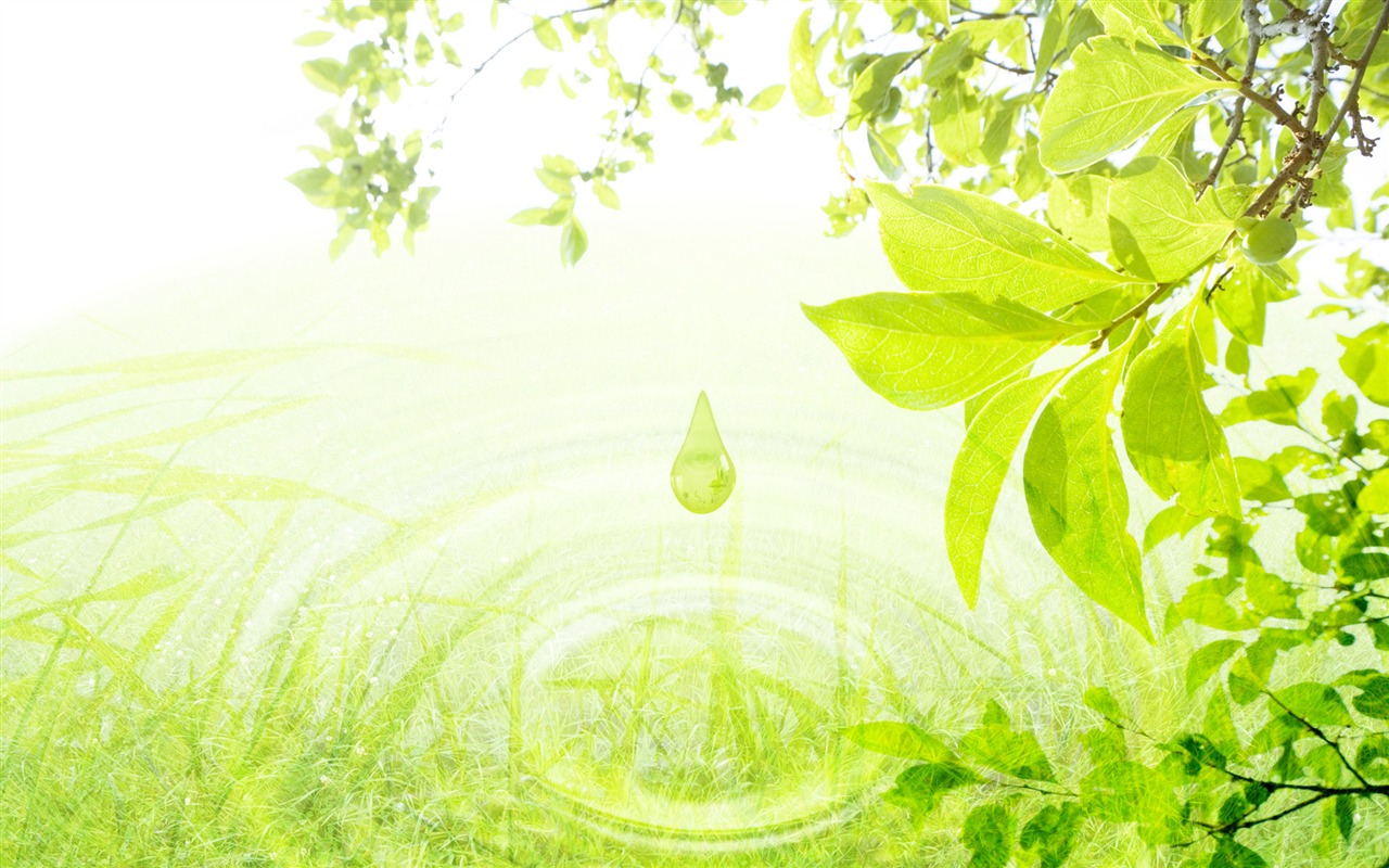 Green and Natural Wallpaper (3) #5 - 1280x800